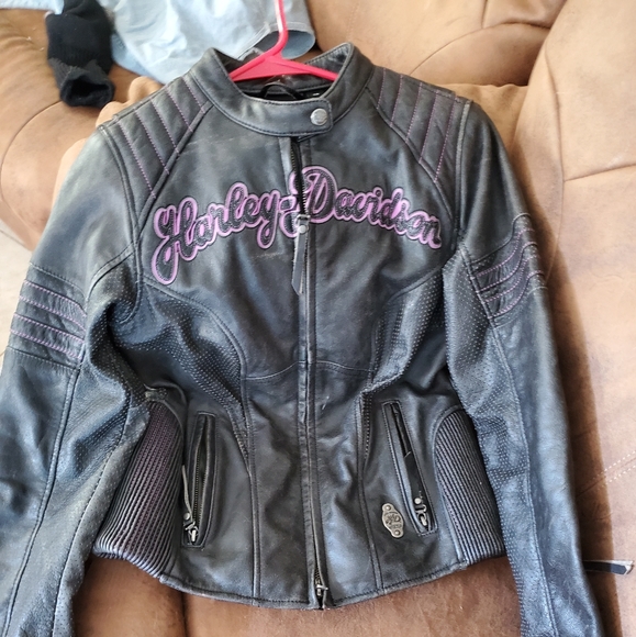 Harley davidson leather jacket and leather chaps - Picture 4 of 4